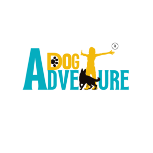 actividades con perro Dog Adventure