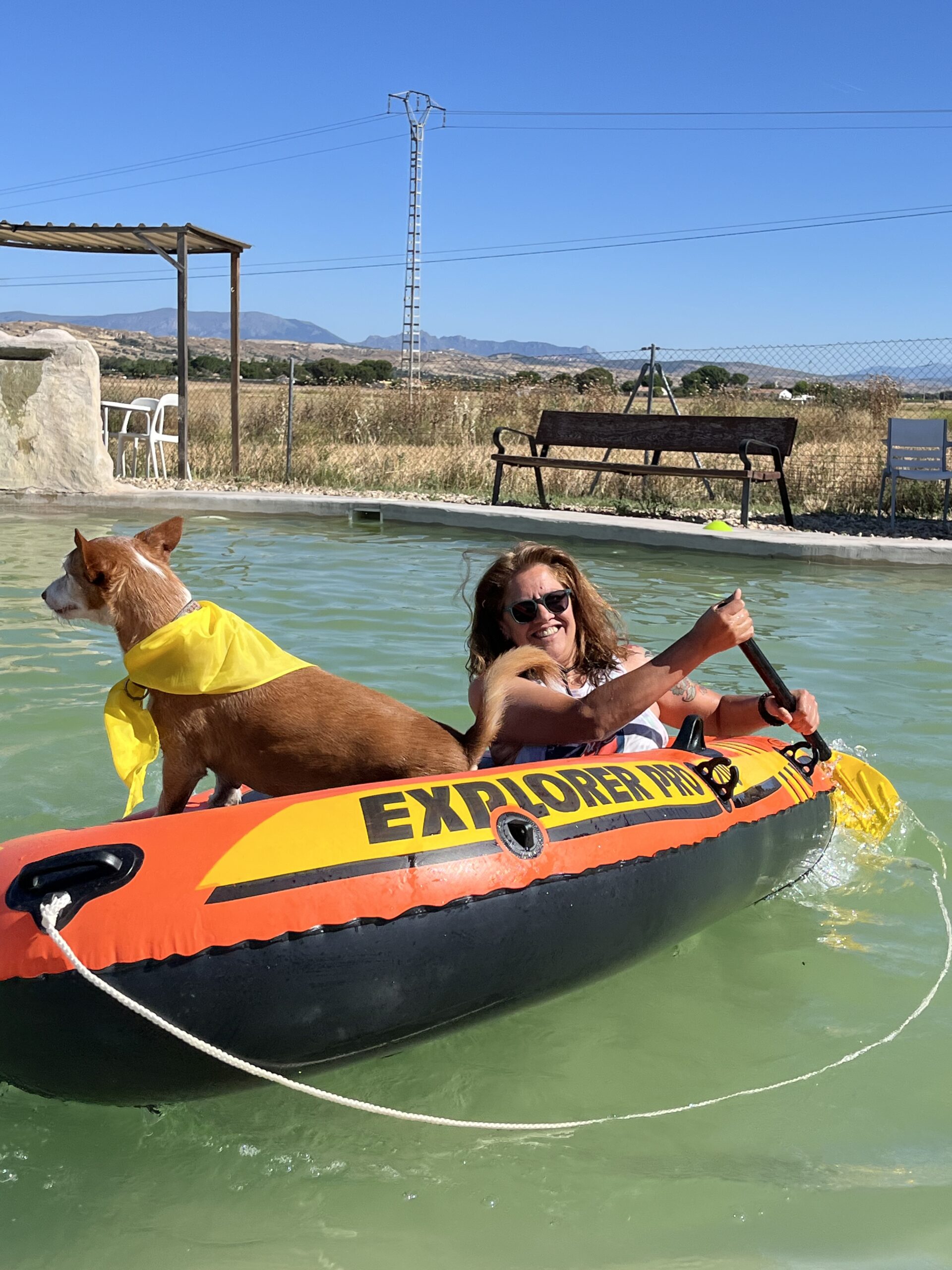 Gincanina acuática perros Madrid actividad divertida Dog Adventure