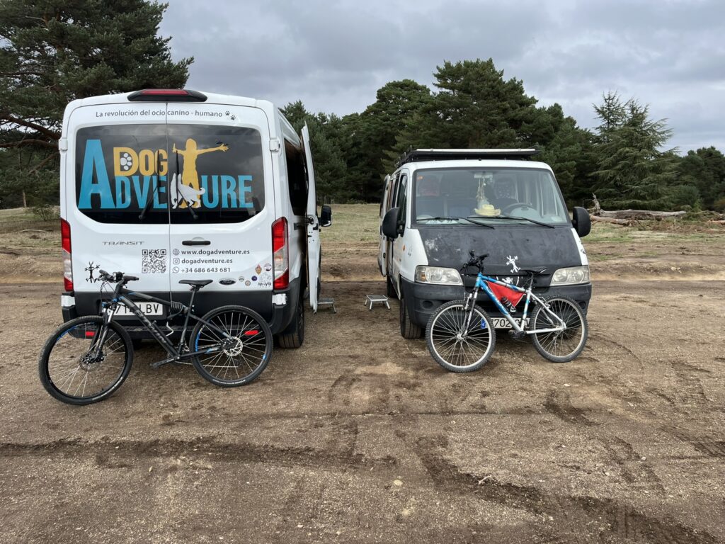 viajar en furgoneta camper con perro