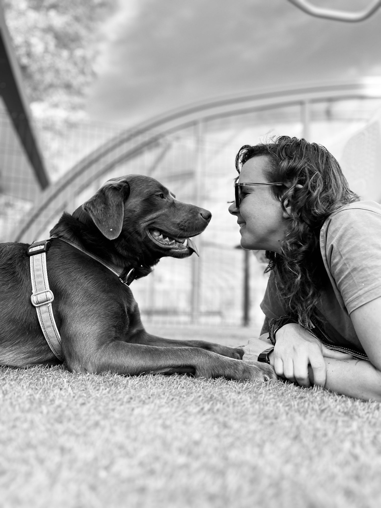 Laura Sancho, Creadora de Dog Adventure