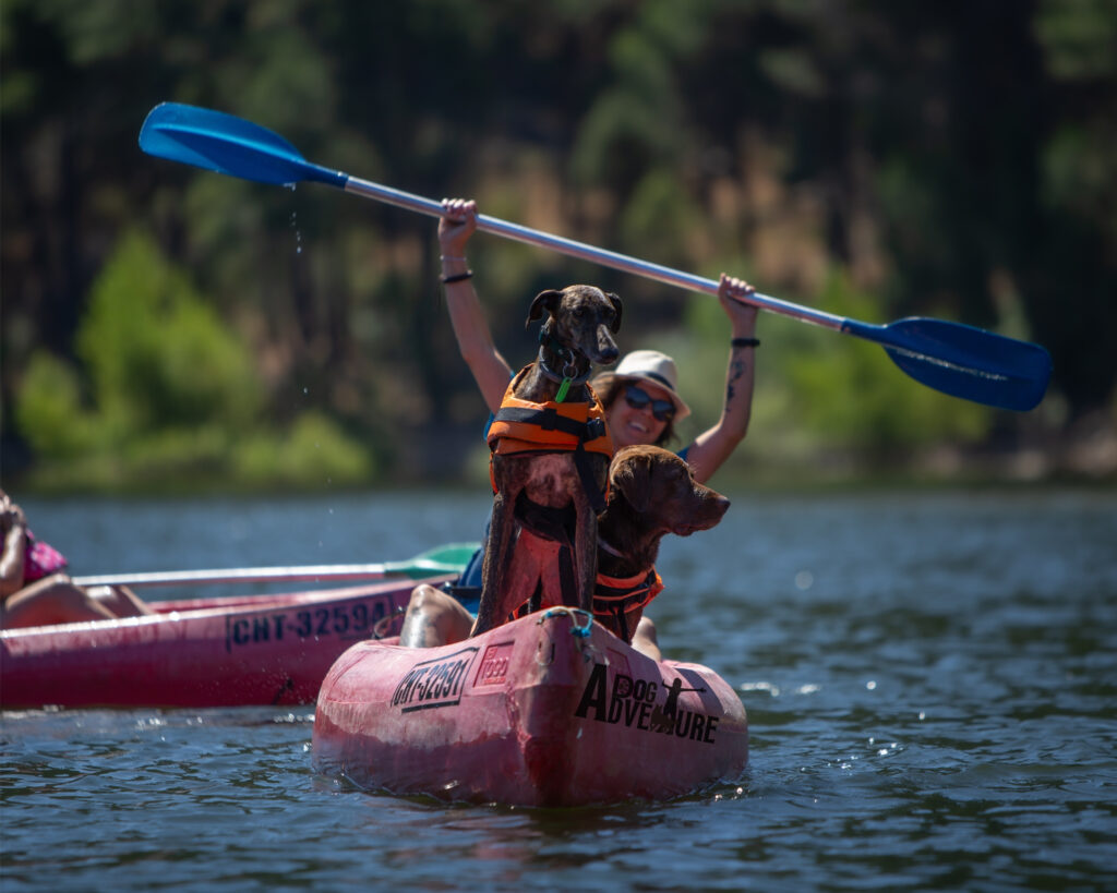 kayak con perro en San Juan Madrid