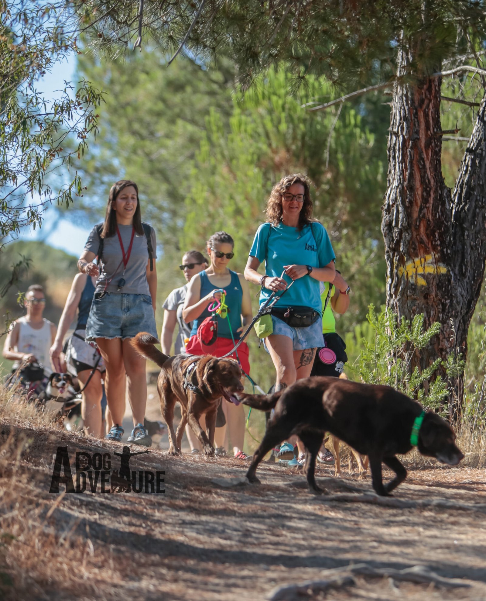 Embalse de San Juan — salidas con perro Sierra Madrid, Dog Trail Scouts Nivel II