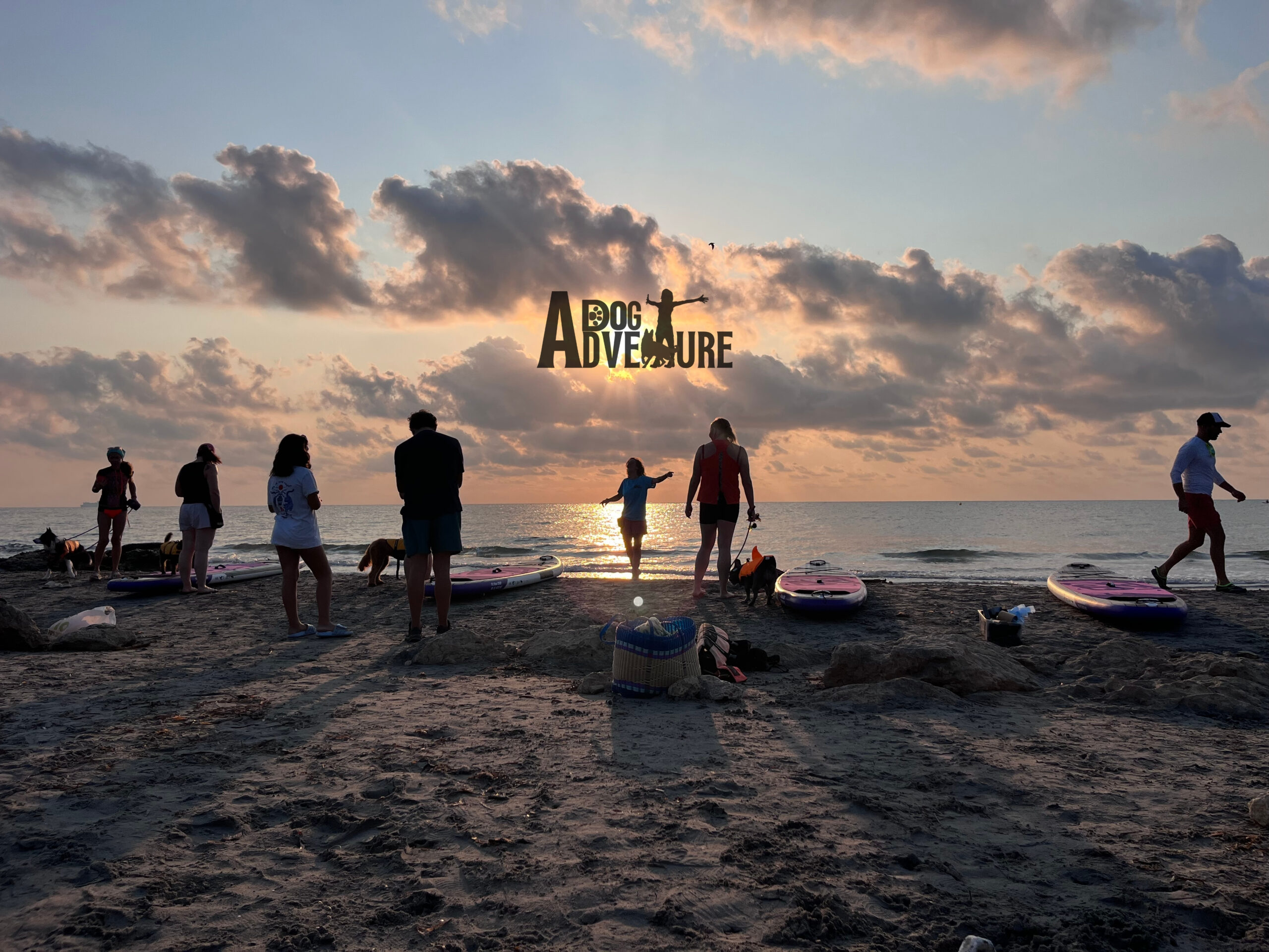 Paddle surf con perro Madrid Dog Adventure