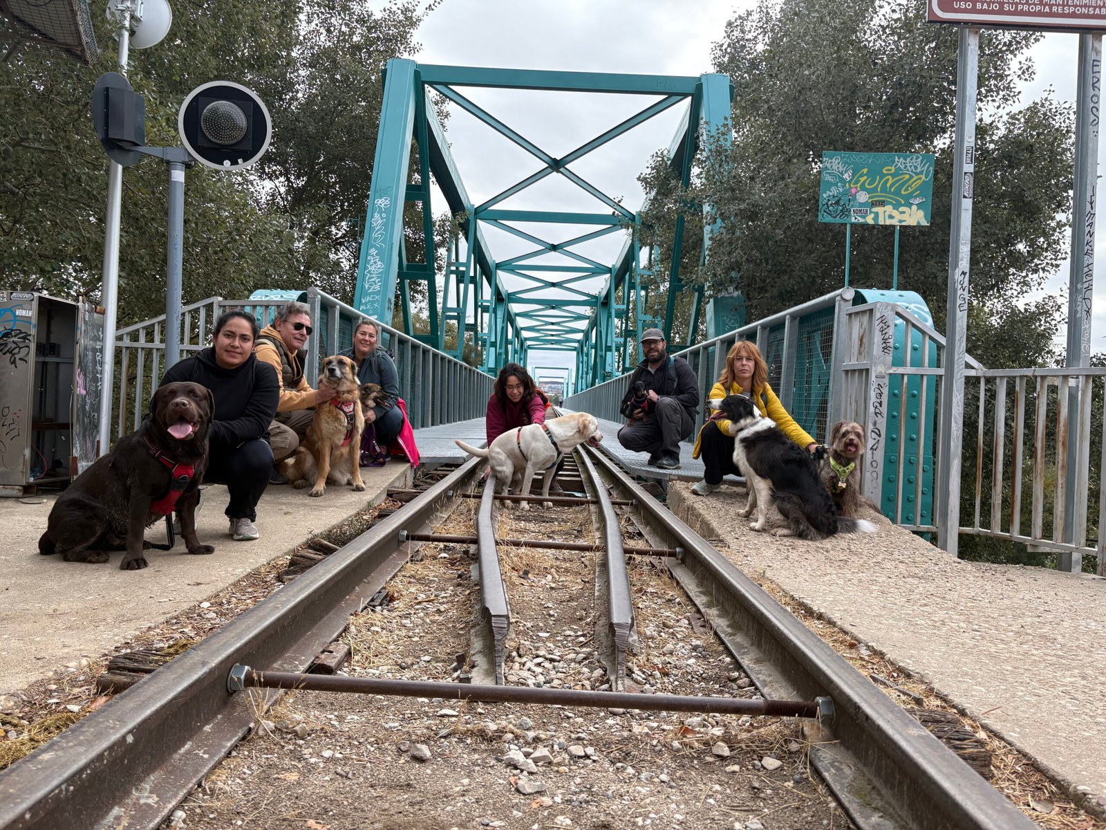 Soto de las Juntas — salidas con perro Sierra Madrid, Dog Trail Scouts Nivel II