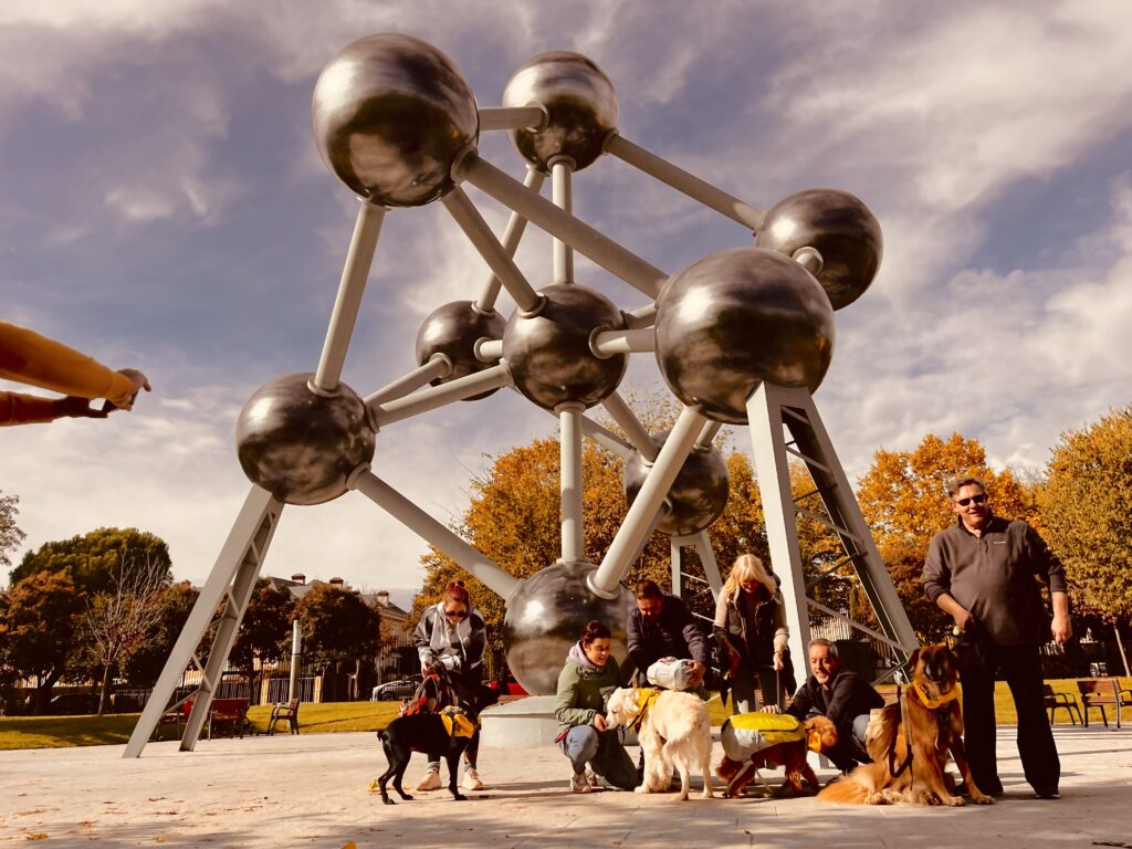 Grupo en el free tour canino en Madrid: paseo urbano guiado y socialización.