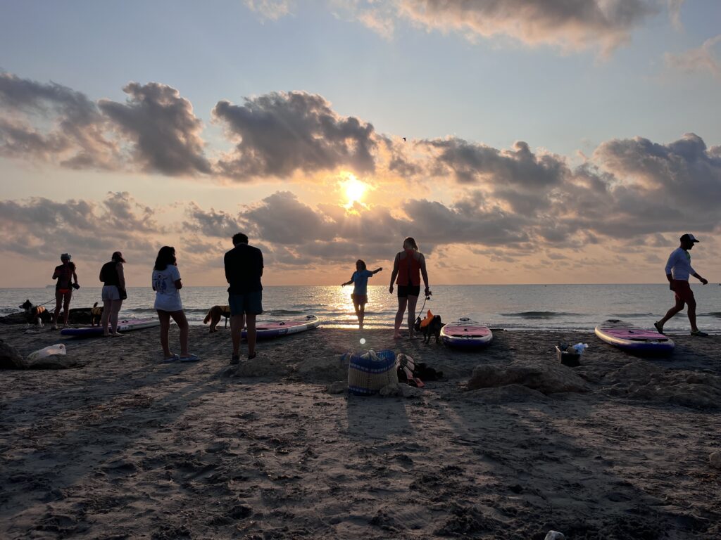 actividades de agua con perro