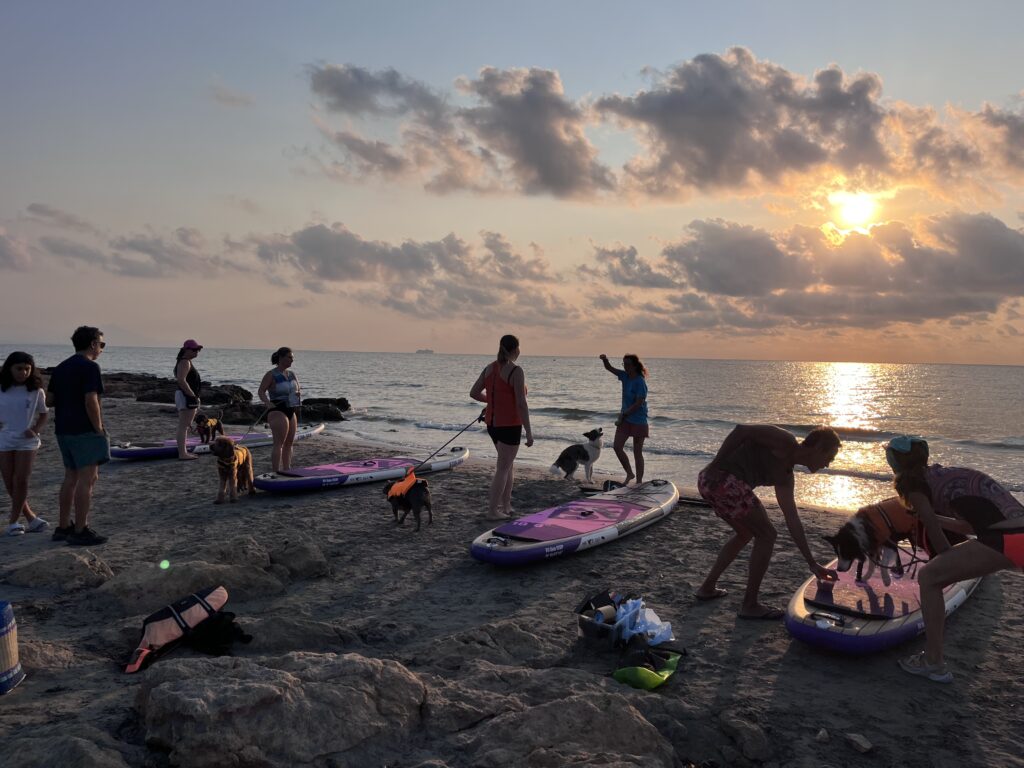 chaleco salvavidas para perros en paddle surf