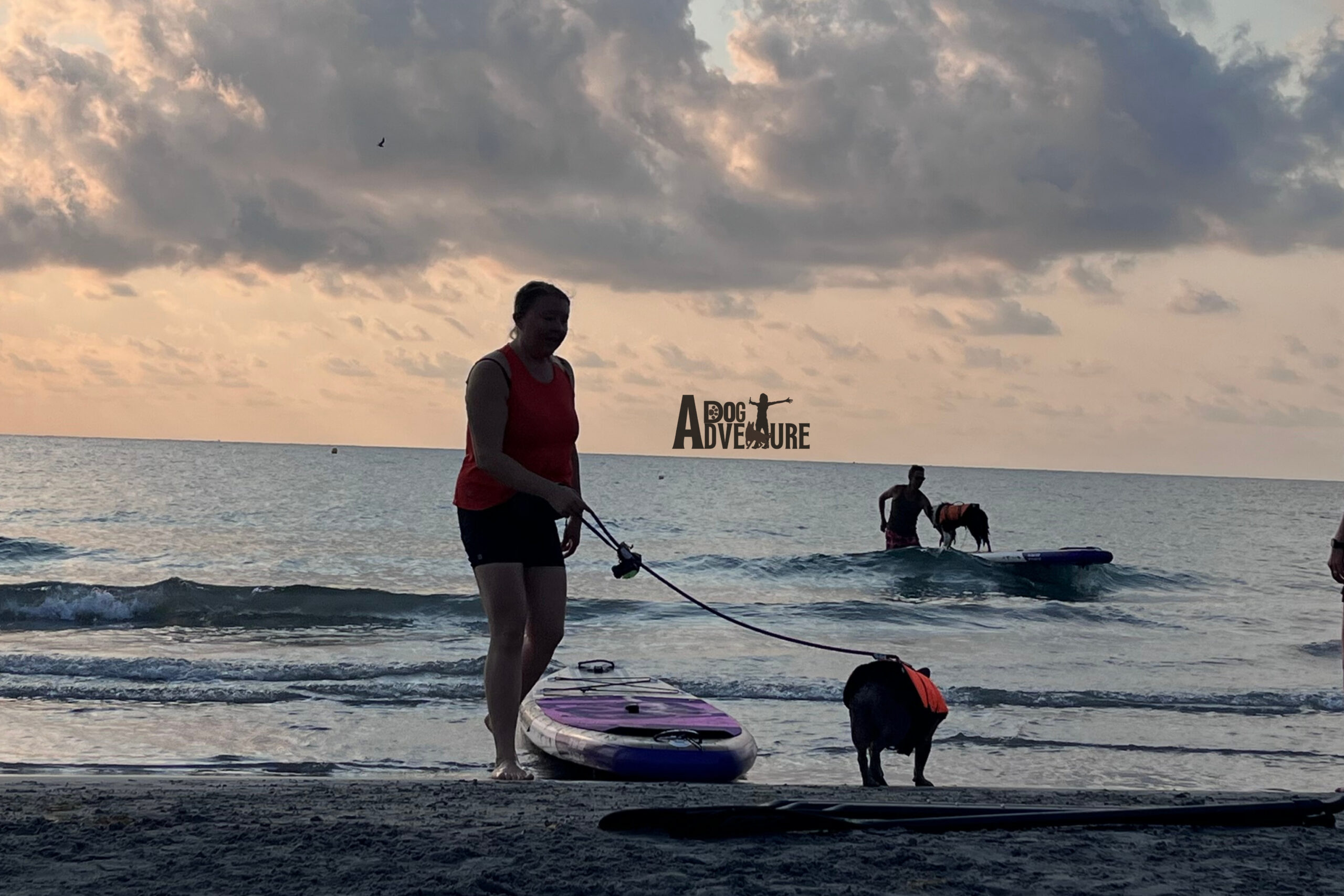 Paddle surf con perro en Madrid — SUP Dogging — Dog Adventure