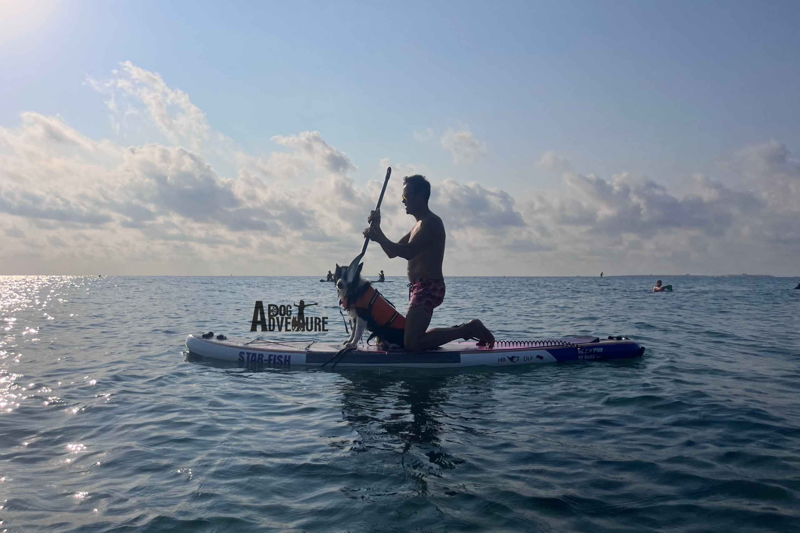 Actividades acuáticas con mi perro en Alicante. Incluye alquiler tablas SUP con perro para la aventura.