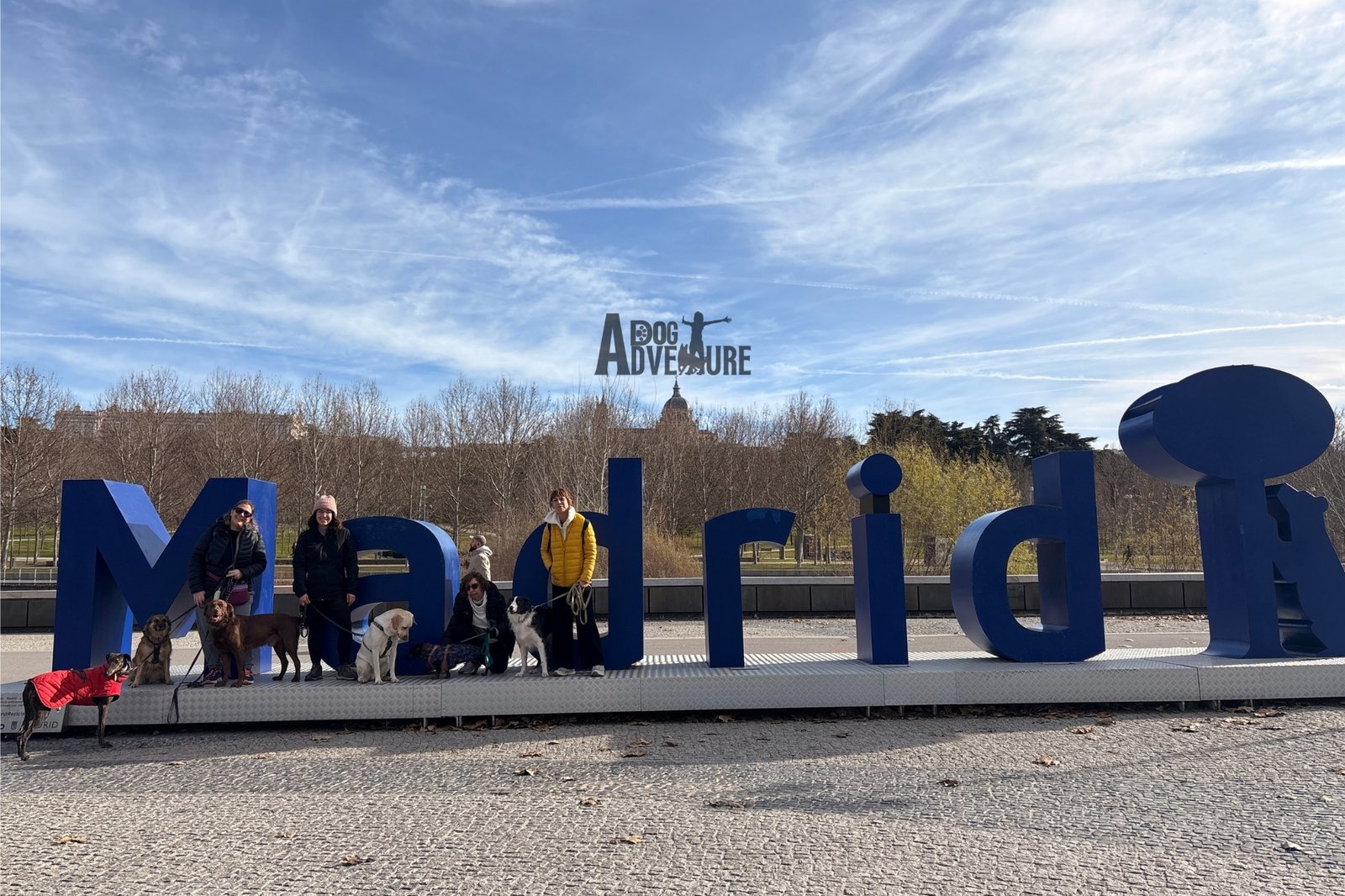 Casa de Campo Madrid diciembre — Dog Trail Scouts — Dog Adventure®