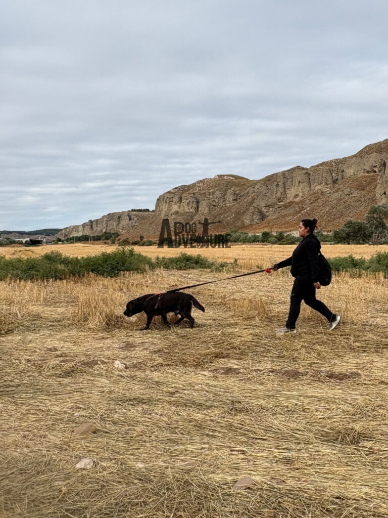 Senderismo con perros en Madrid