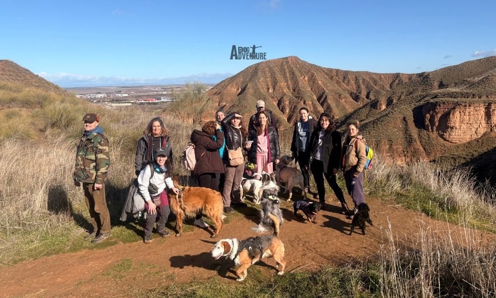Dog Trail Scouts Nivel II — Dog Adventure® Madrid