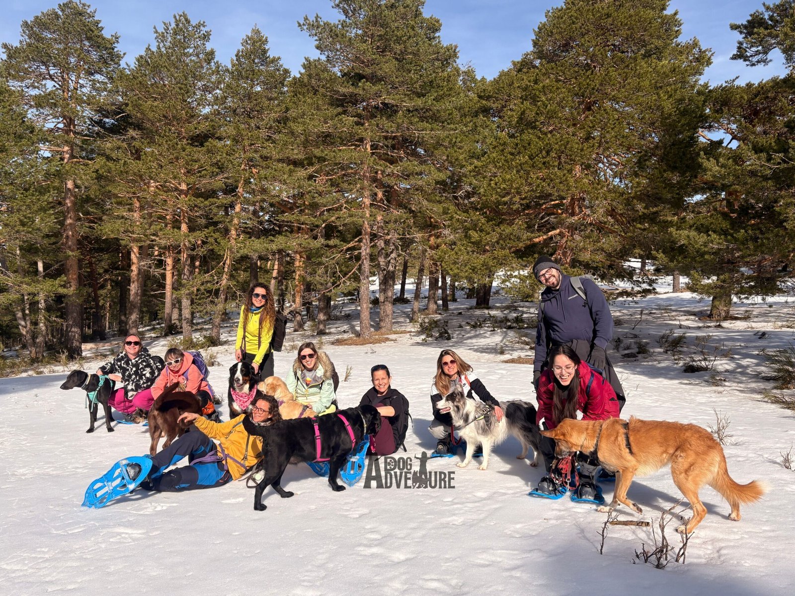 Actividades con perro en Madrid — Dog Adventure — Kayak senderismo astroturismo paddle surf
