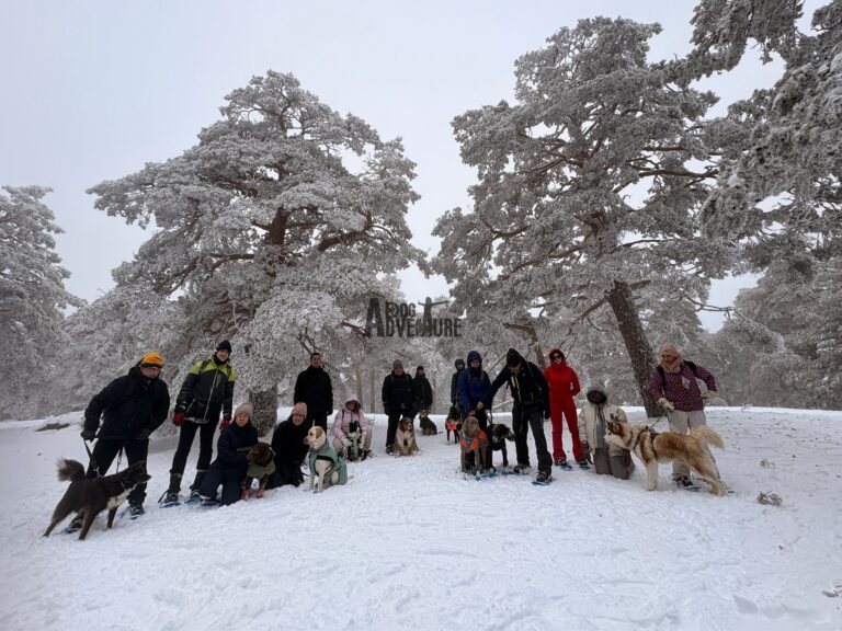 Salida con raquetas de nieve y perros de Dog Adventure