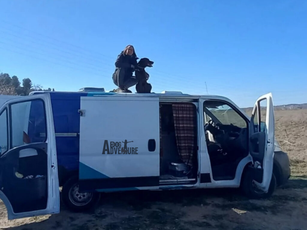 viajar en furgo camper con perro