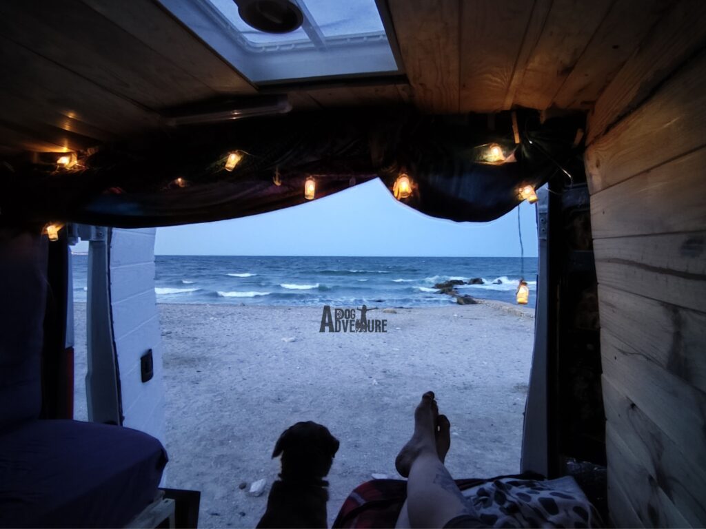 furgoneta camper con perro
