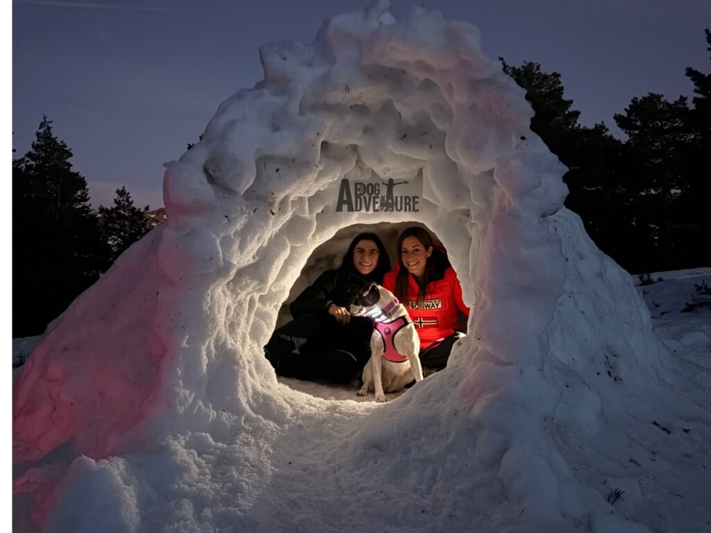 Dos personas con su perro dentro de un iglú de nieve al anochecer