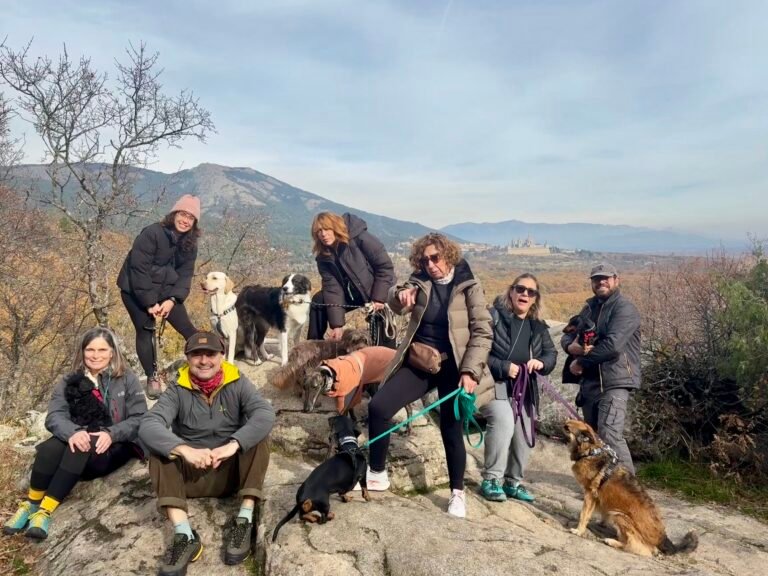 Grupo de Dog Adventure con sus perros en la sierra