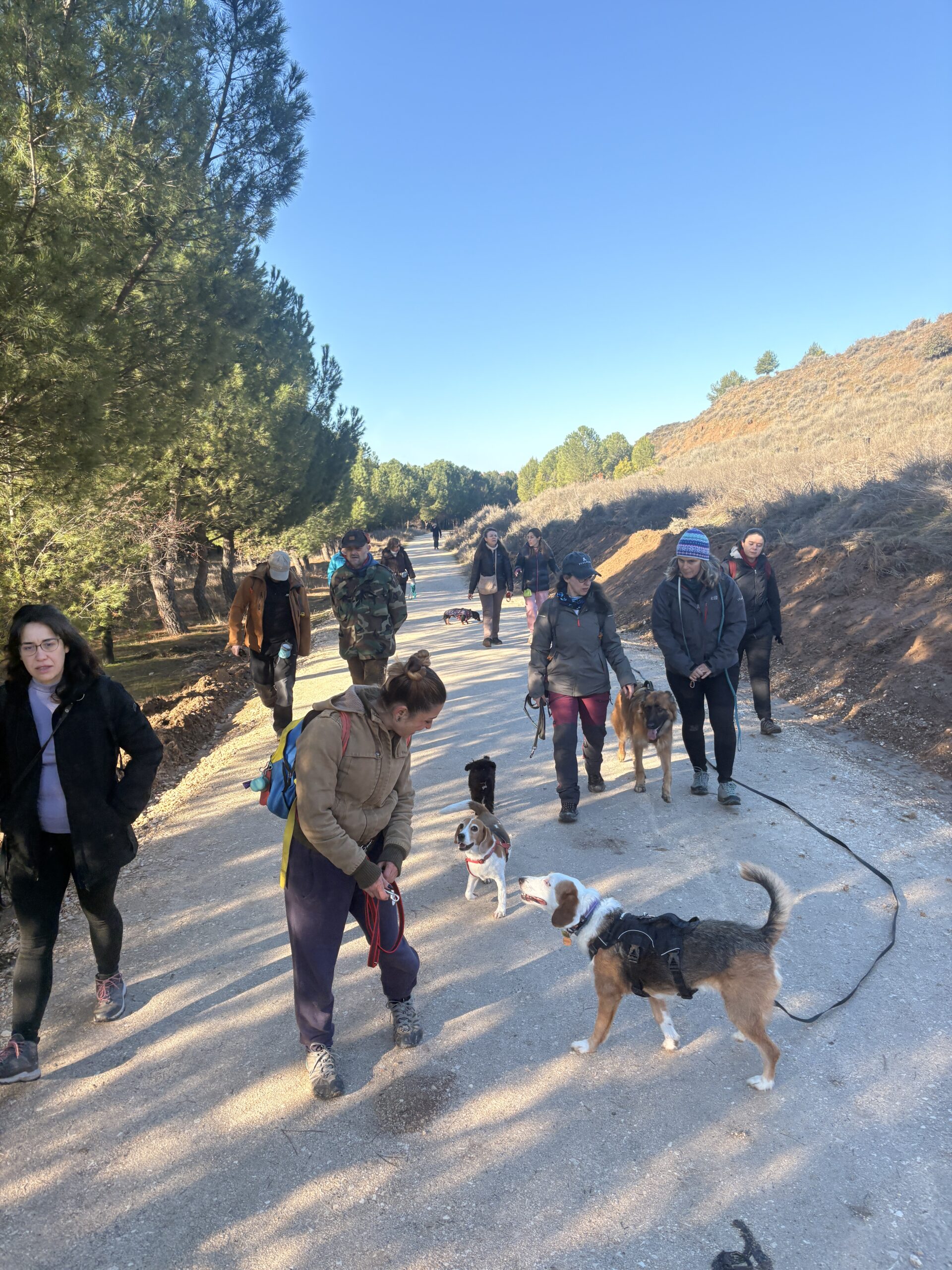 ruta con perro en grupo madrid