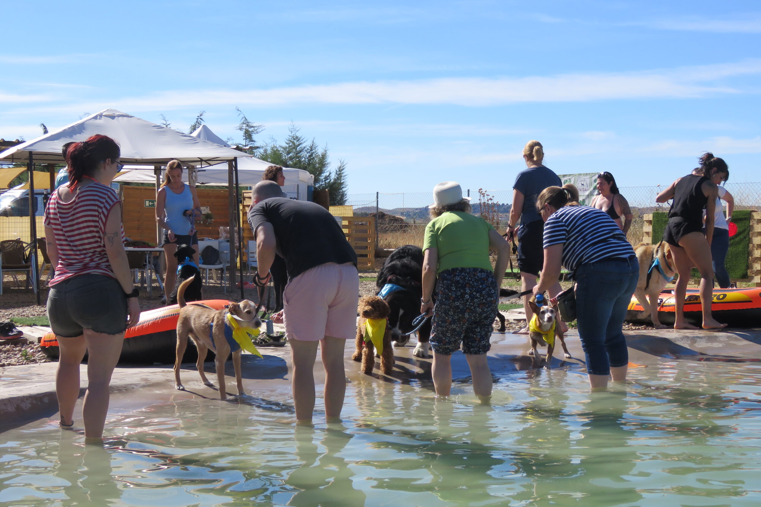 habituación al agua