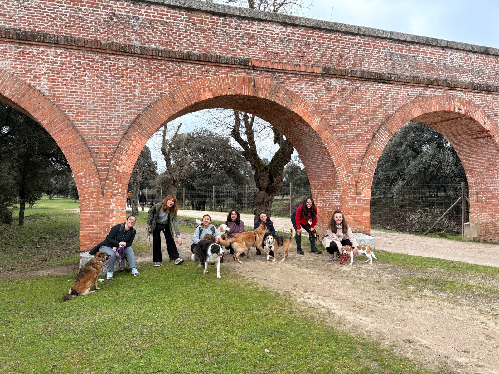 Casa de Campo Batán con perro