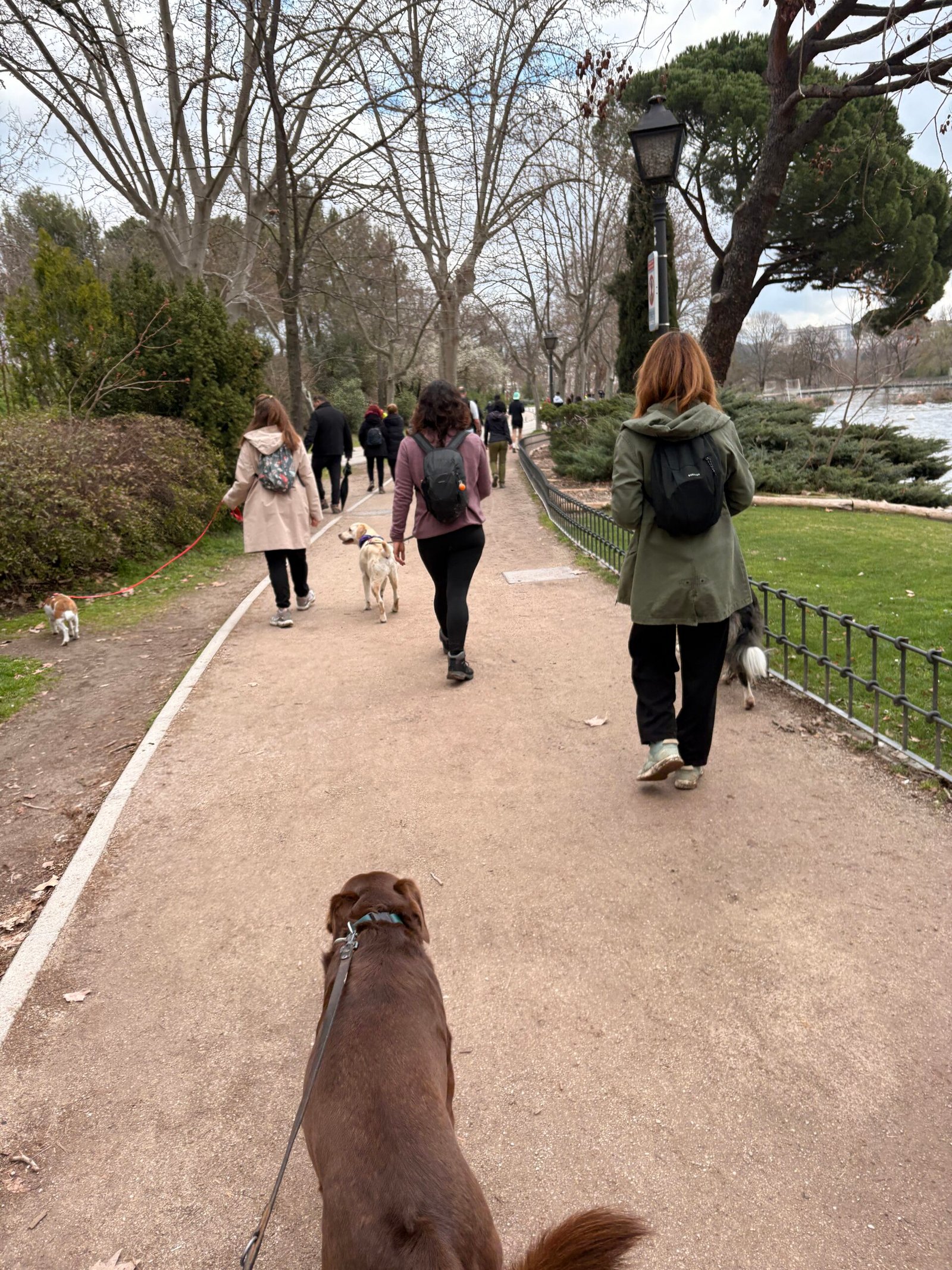 Casa de Campo — Dog Trail Scouts Nivel I