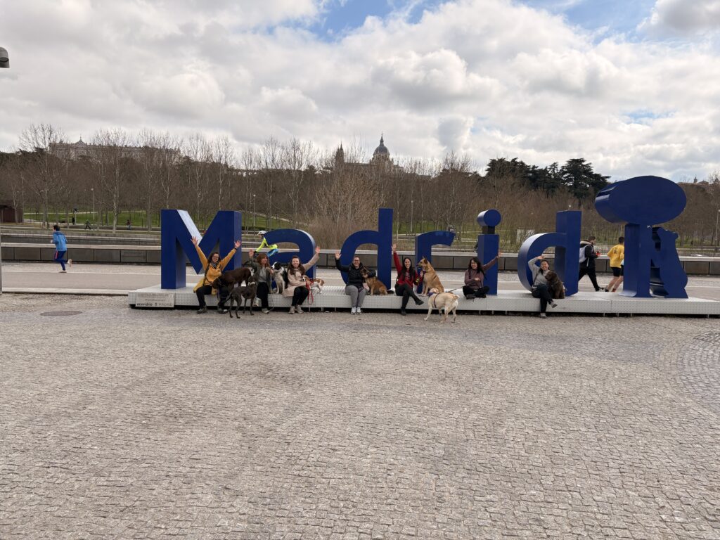 ruta con perro por madrid