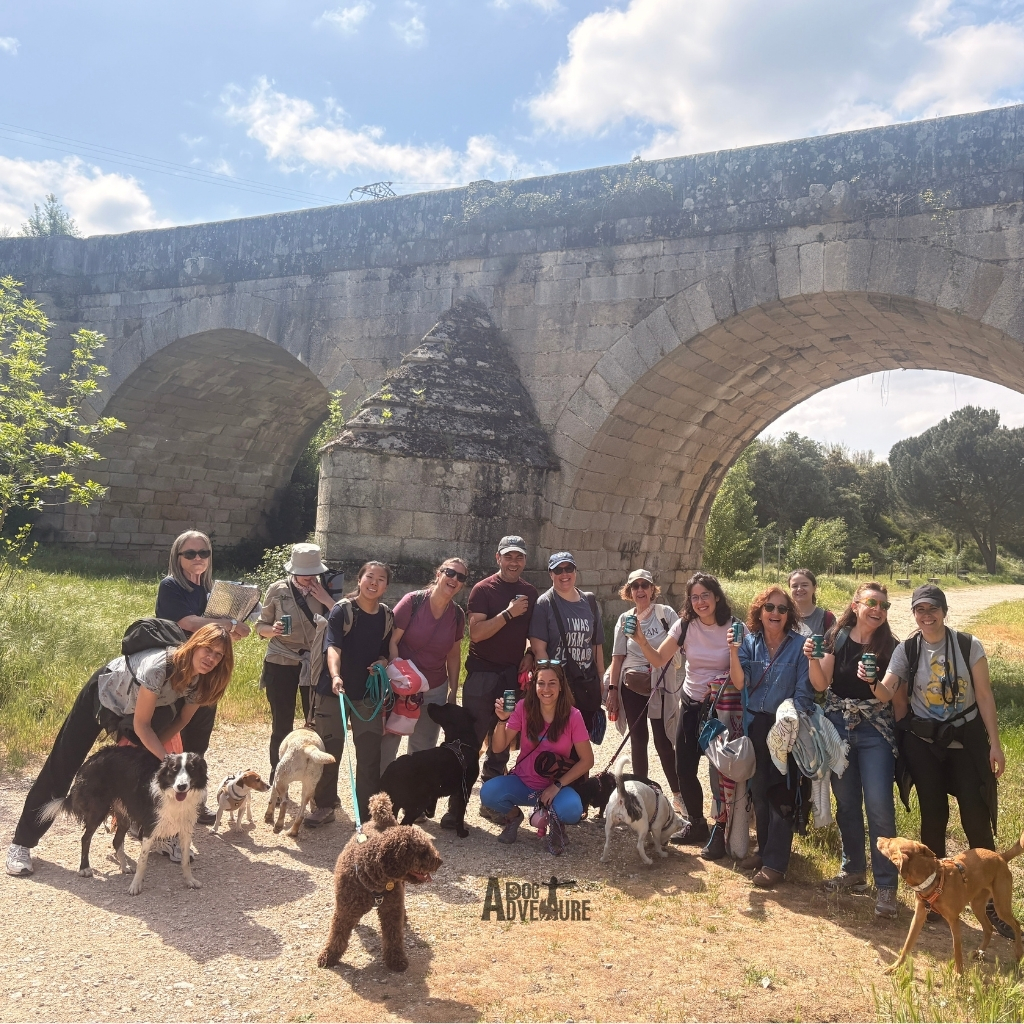 senderismo con perros en Madrid. Grupo dog trail scouts