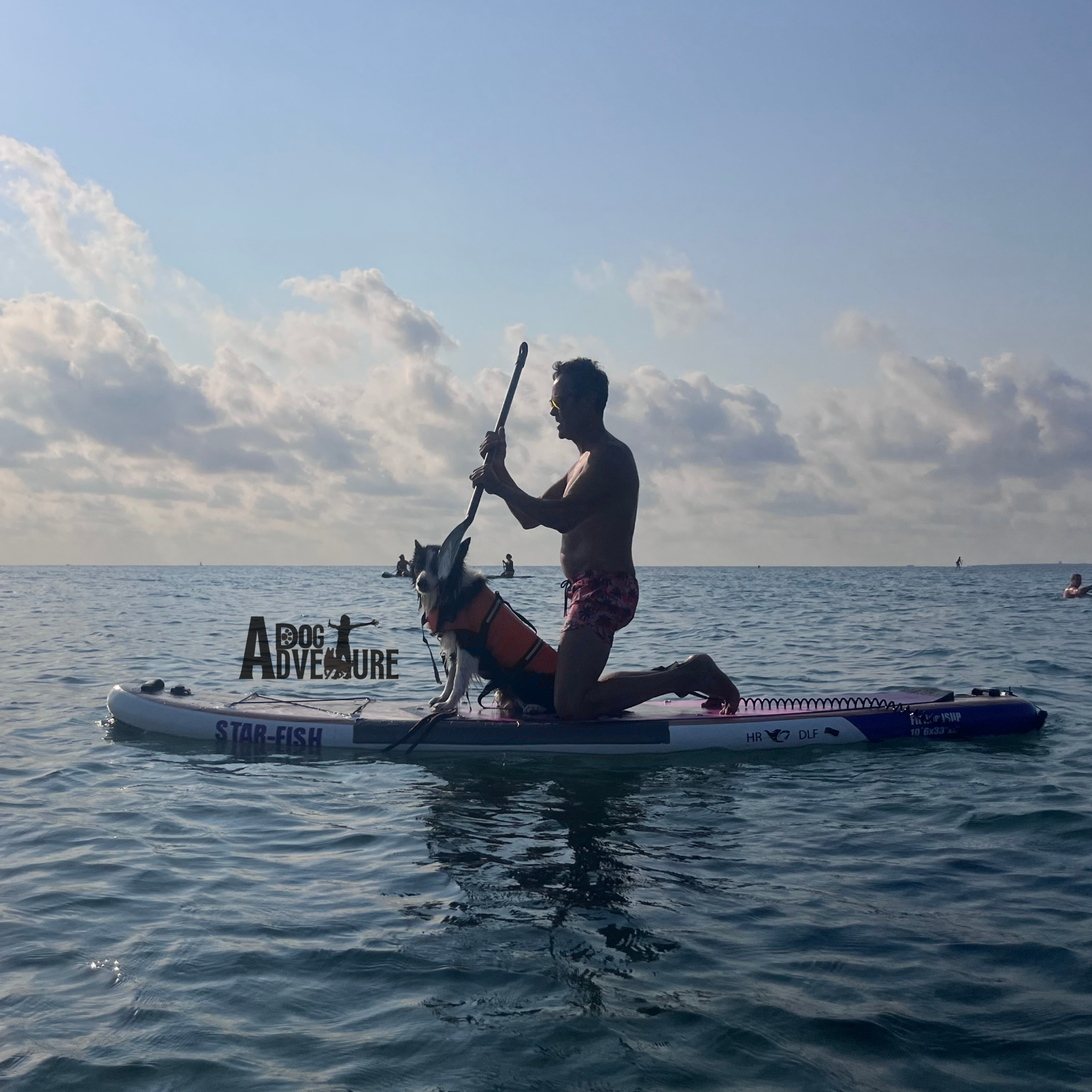 Actividades acuáticas con mi perro en Alicante. Incluye alquiler tablas SUP con perro para la aventura.