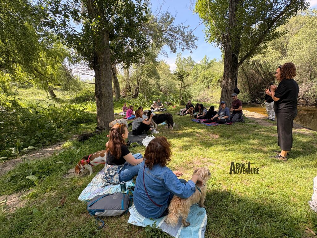 taller sobre el lenguaje del tacto en una ruta de dog trail scouts en senderismo con perros en madrid de dog adventure 