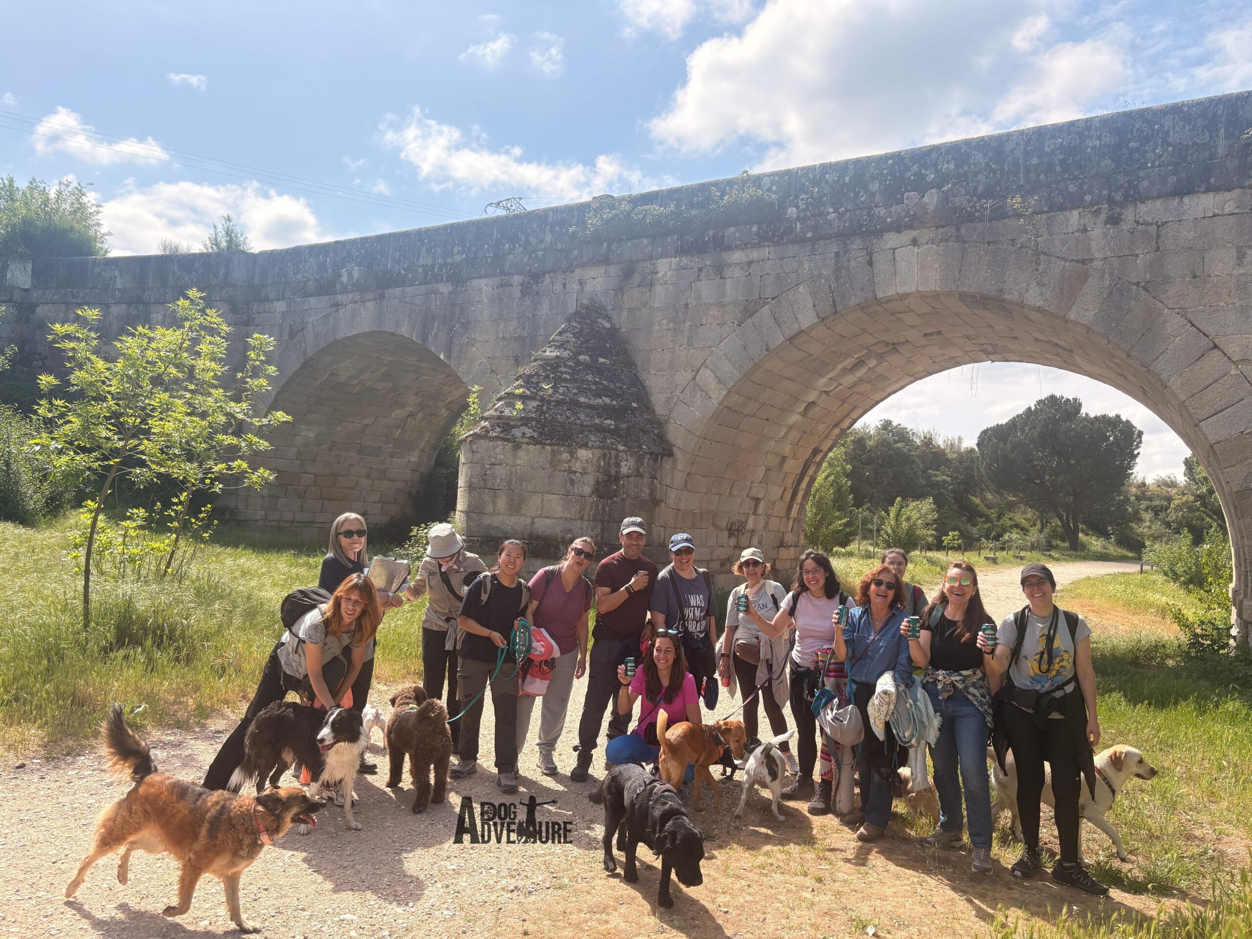 Senderismo nocturno con perros Madrid verano Embalse Picadas Dog Trail Scouts