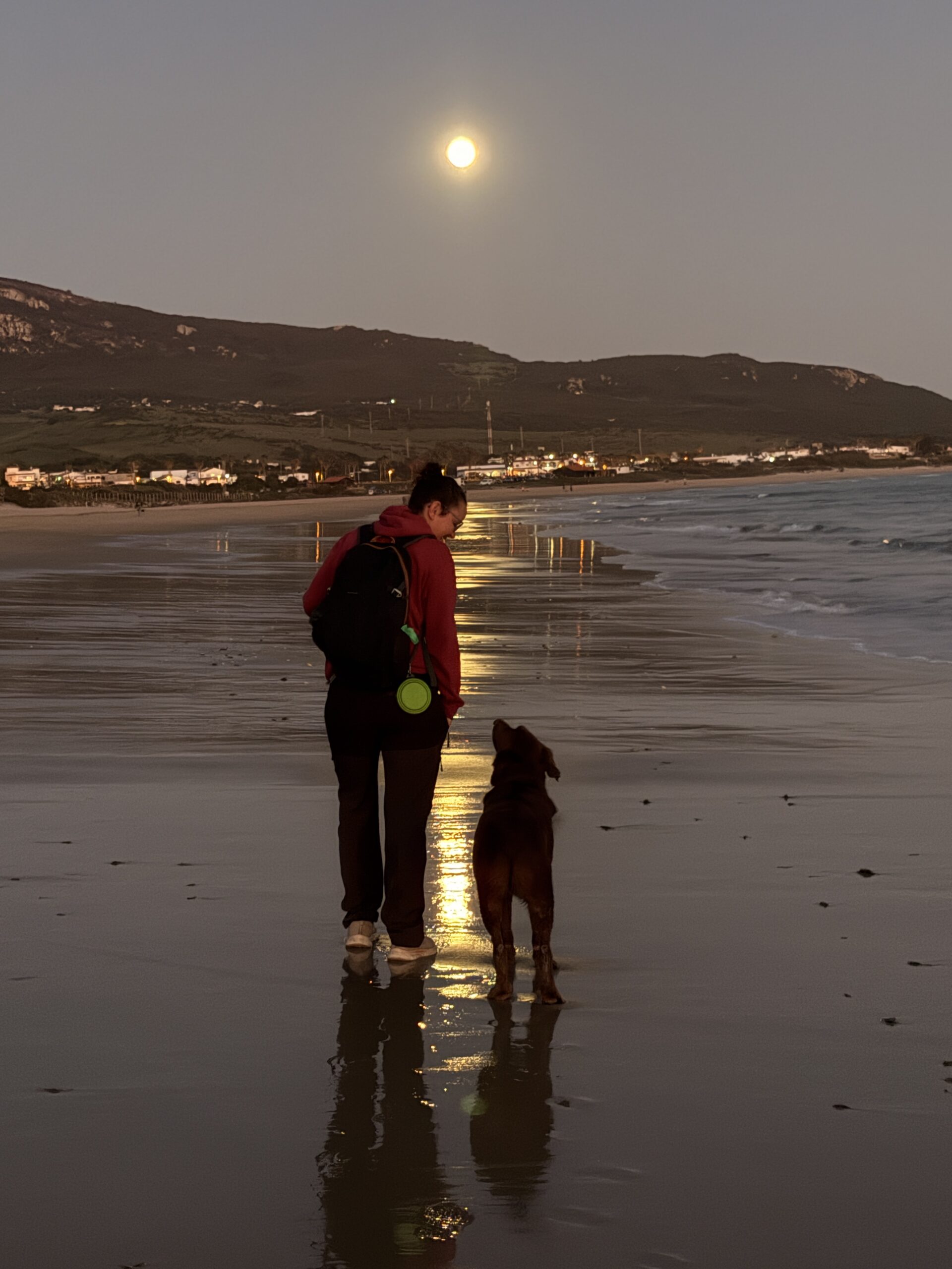 Método Dog Adventure — la ciencia que transforma el vínculo con tu perro