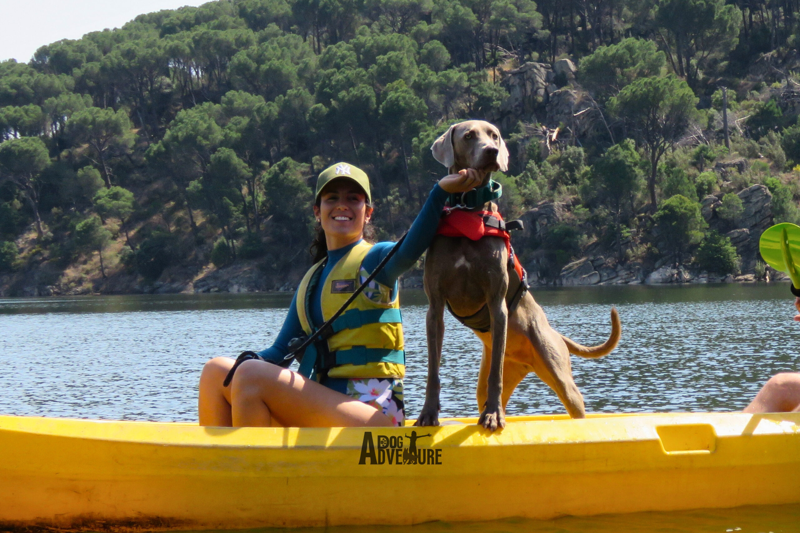 Kayak con perro nivel I iniciación San Juan Madrid Dog Adventure