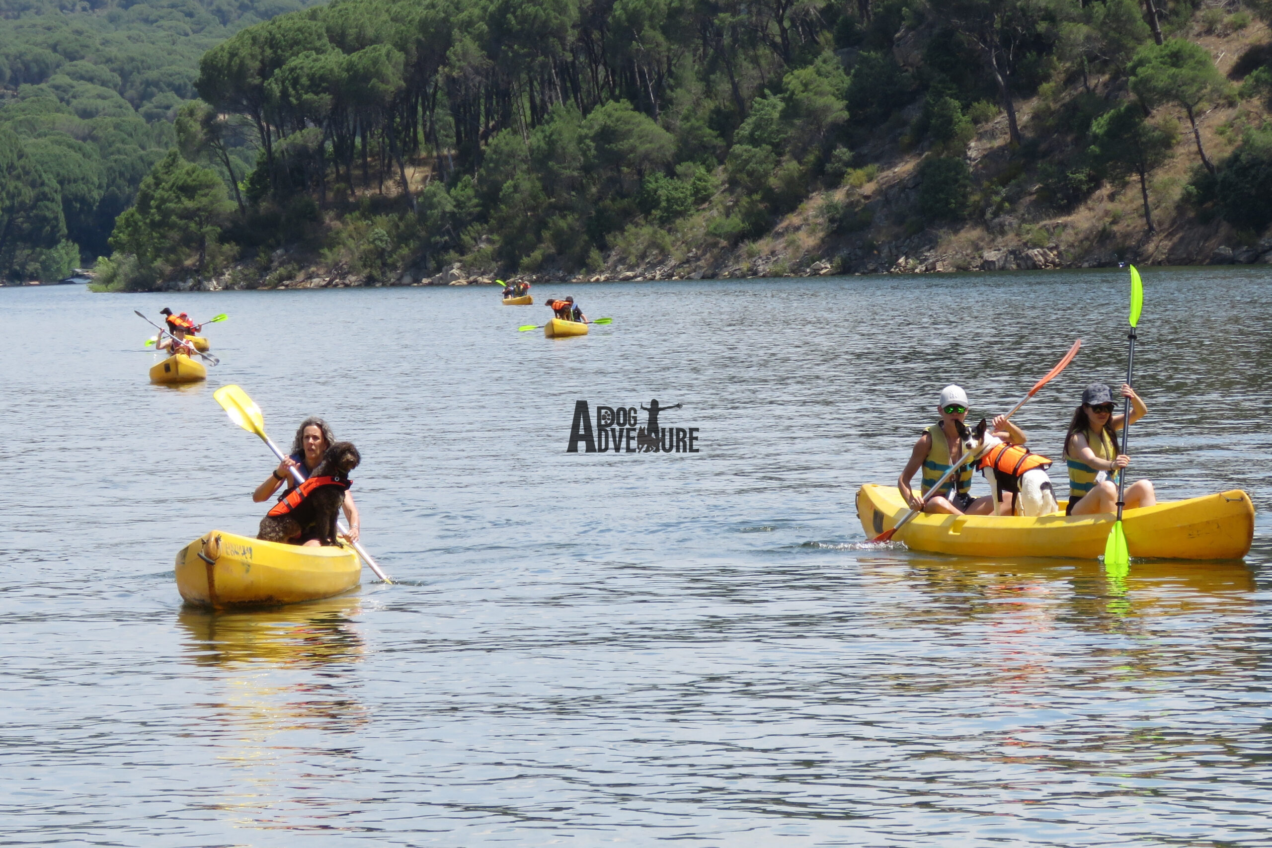 Kayak con perro en Madrid — Embalse de San Juan — Dog Adventure