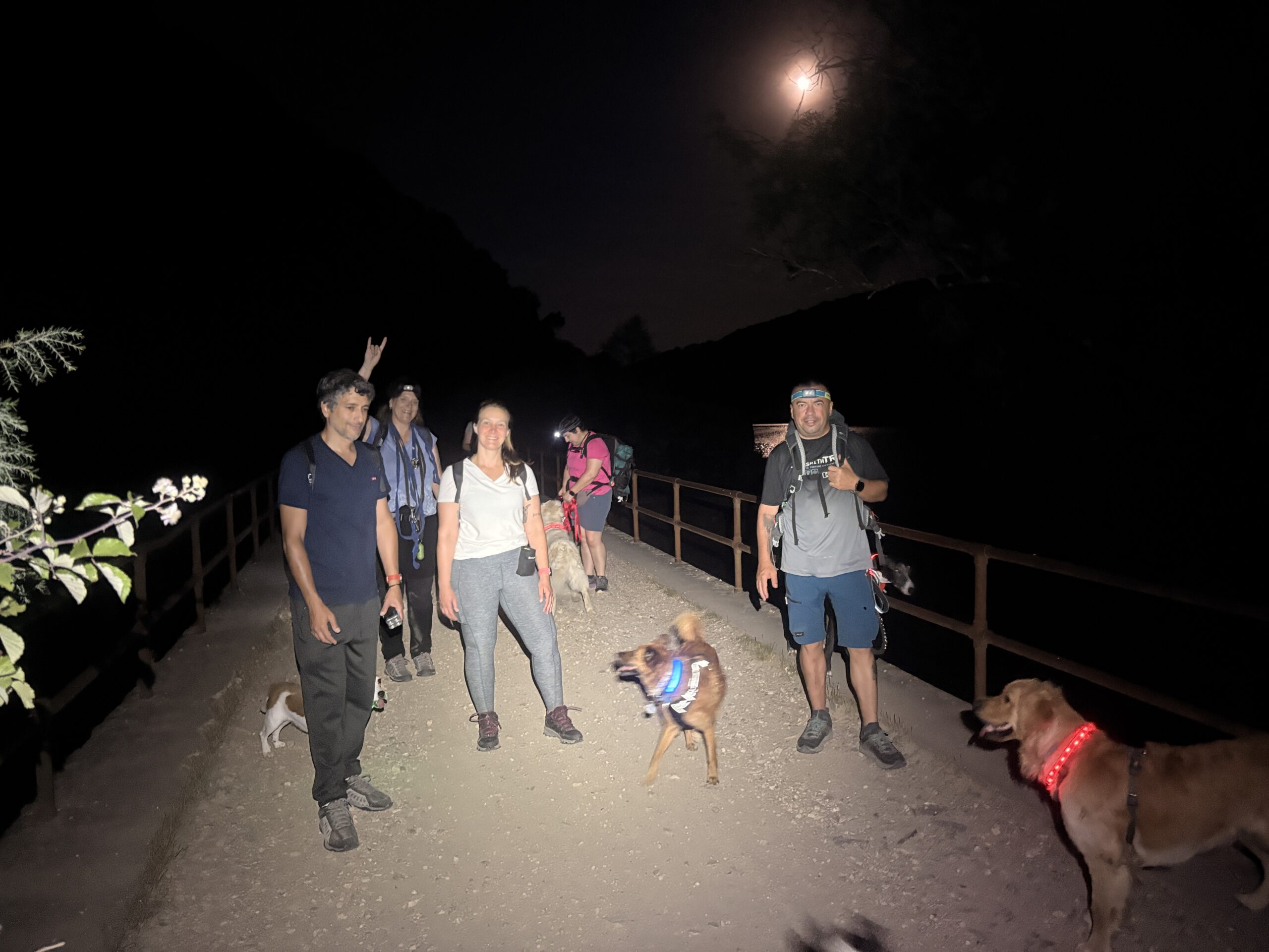 Astroturismo con perros Madrid Navacerrada estrellas observación Dog Adventure