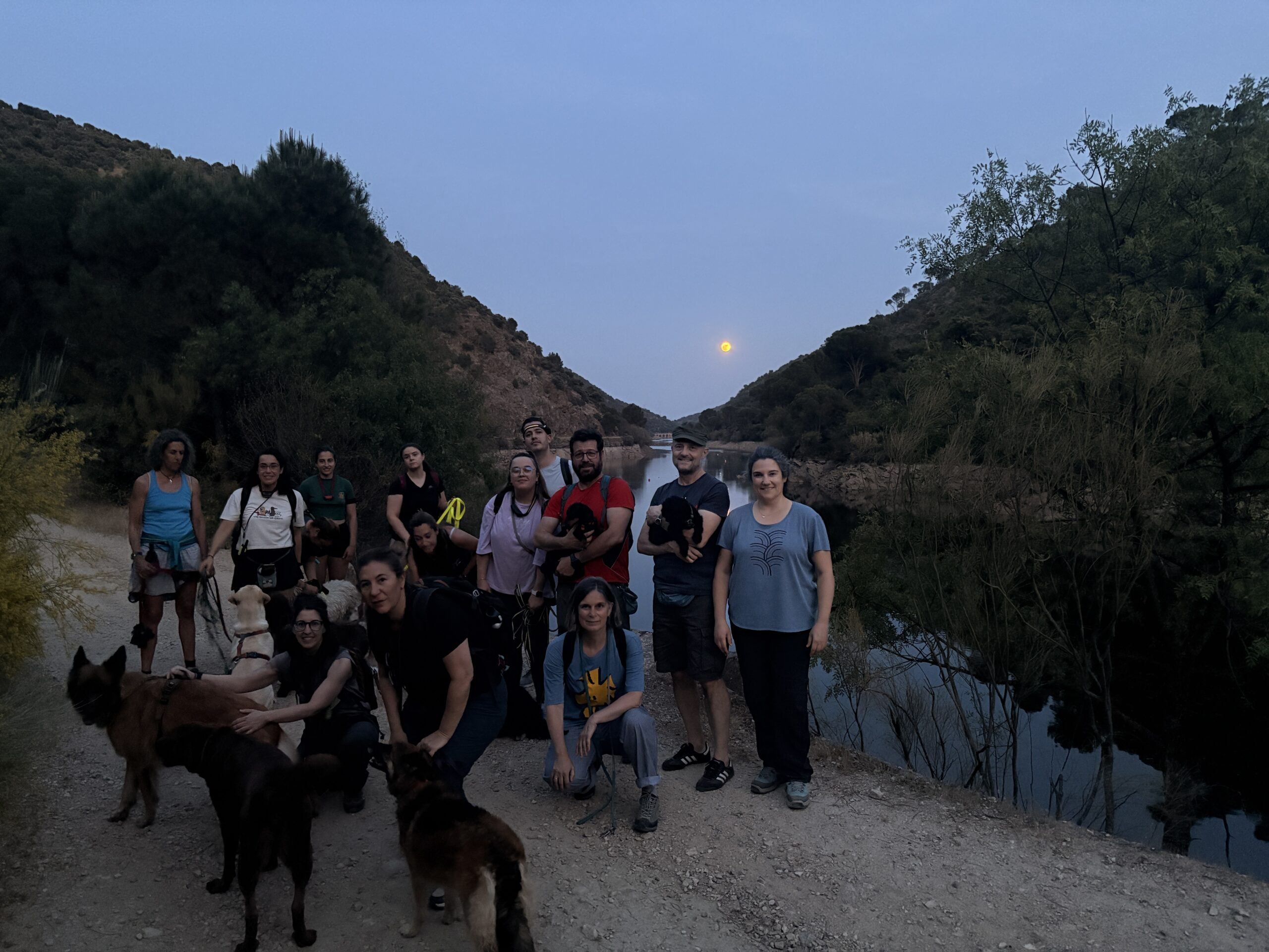 Rutas nocturnas con perros Titulcia Madrid
