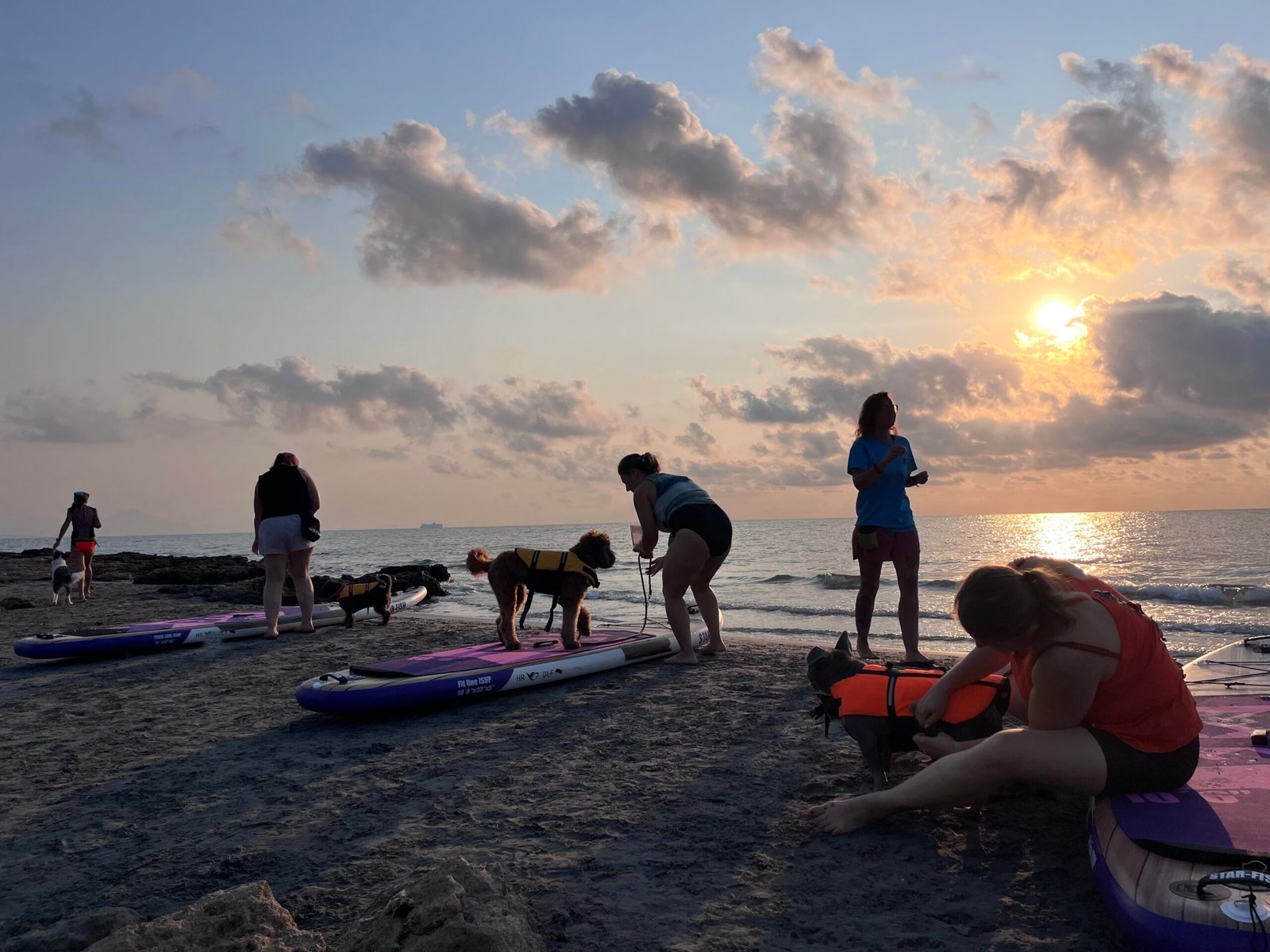 Paddle surf con perro en Madrid — Embalse de Valmayor — Dog Adventure