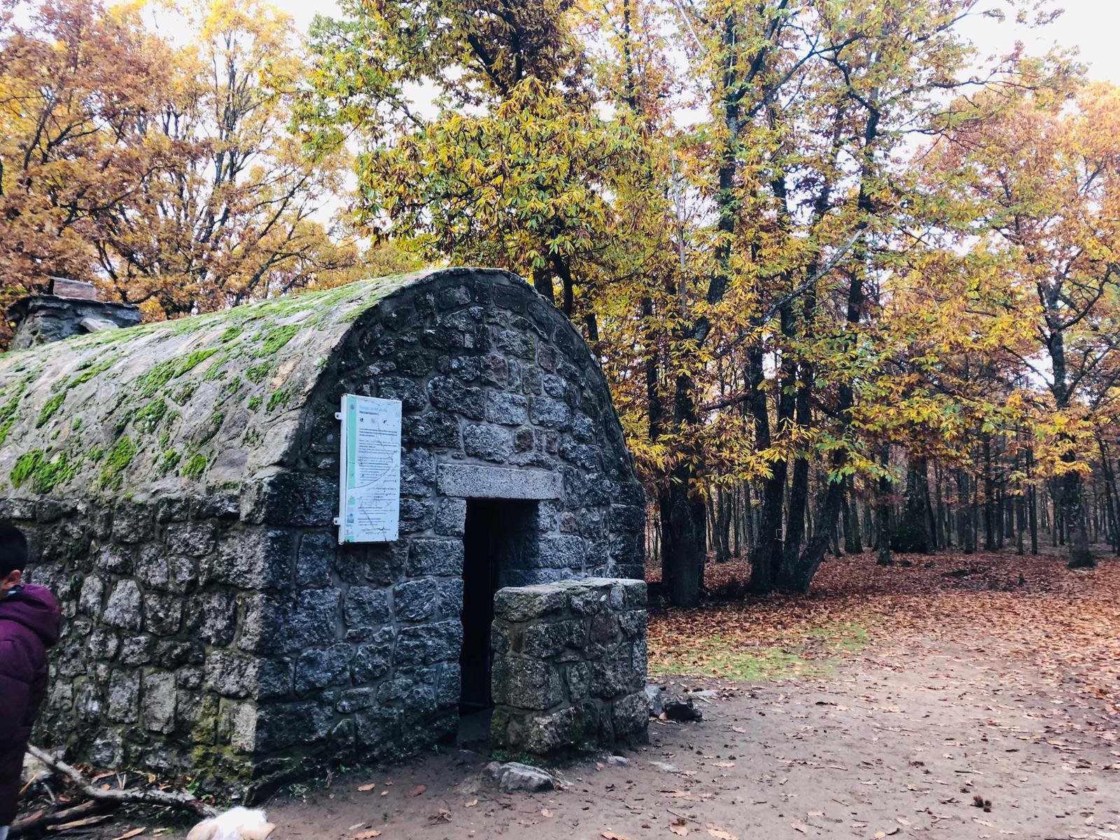 Castañar El Tiemblo — Dog Trail Scouts Nivel II — Dog Adventure®