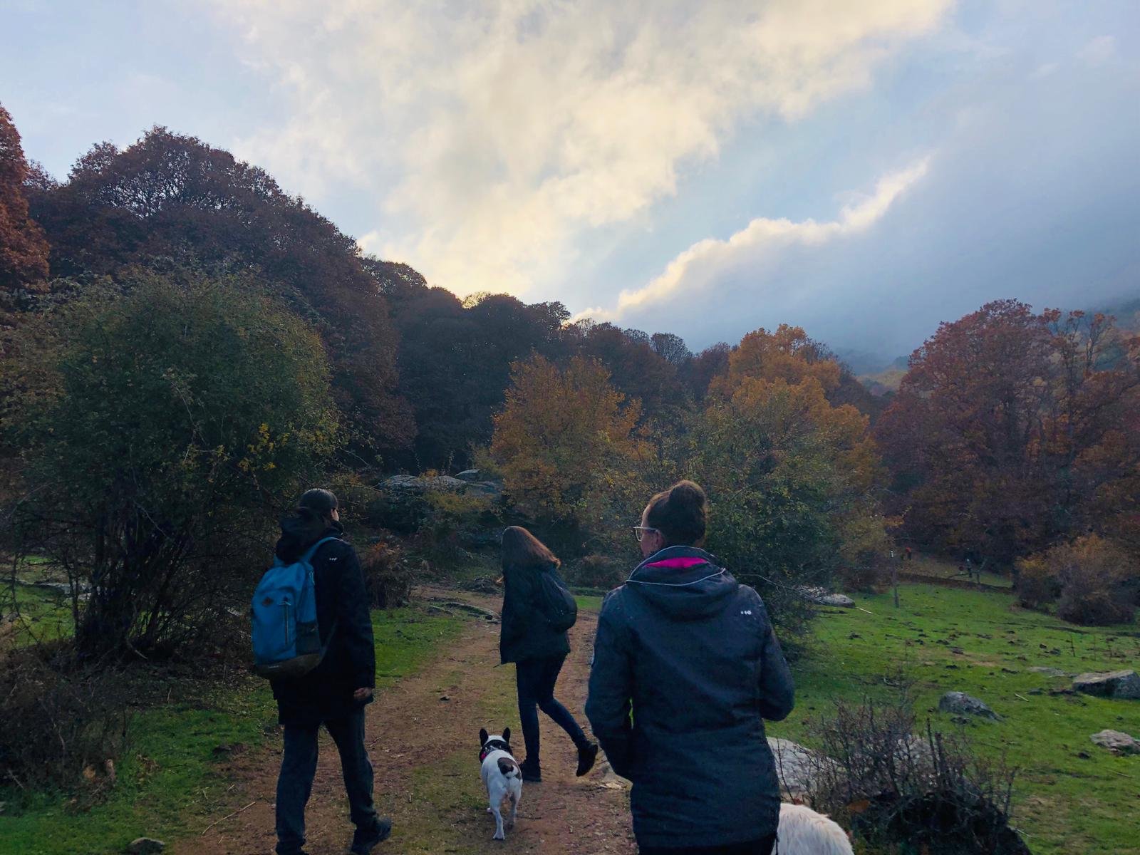 Monte Encinas Boadilla con perro