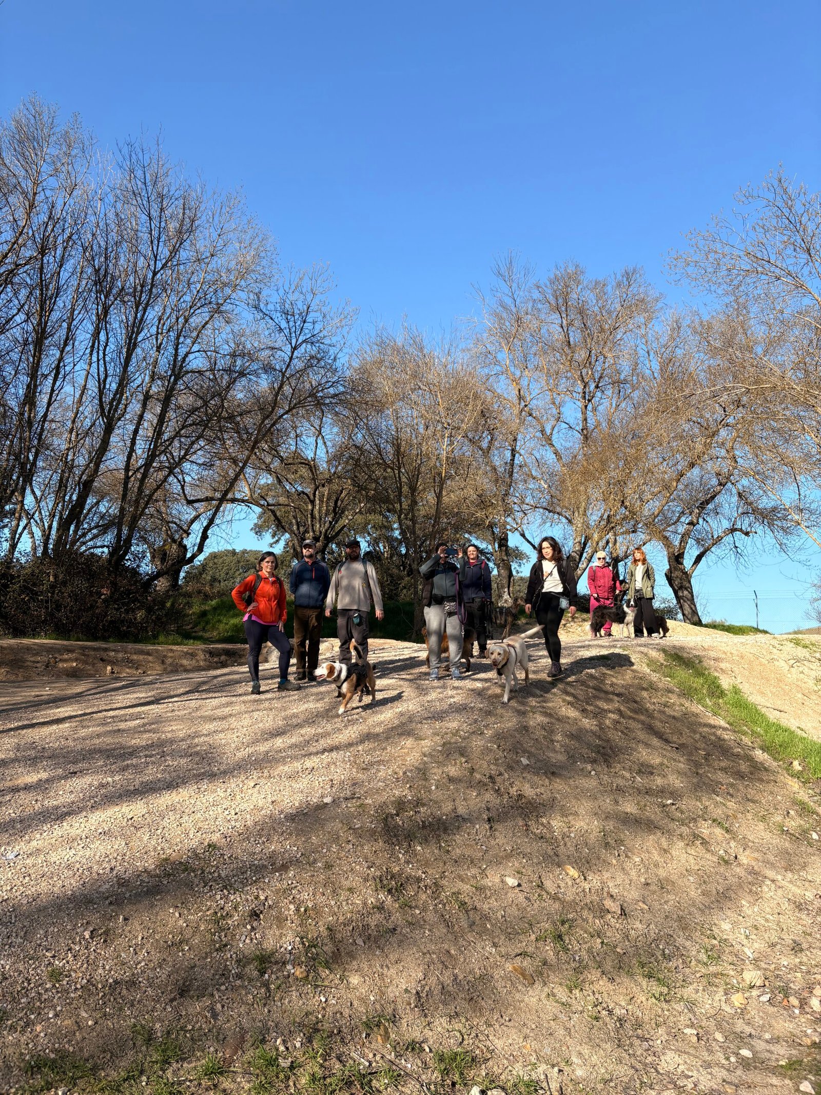 Monte de El Pardo — salidas con perro Sierra Madrid, Dog Trail Scouts Nivel II