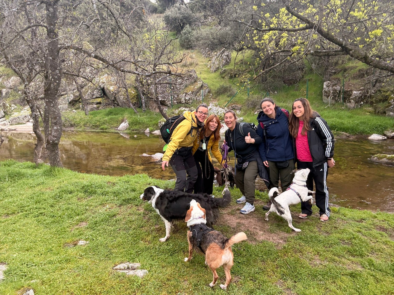 Navalagamella — salidas con perro Sierra Madrid, Dog Trail Scouts Nivel II