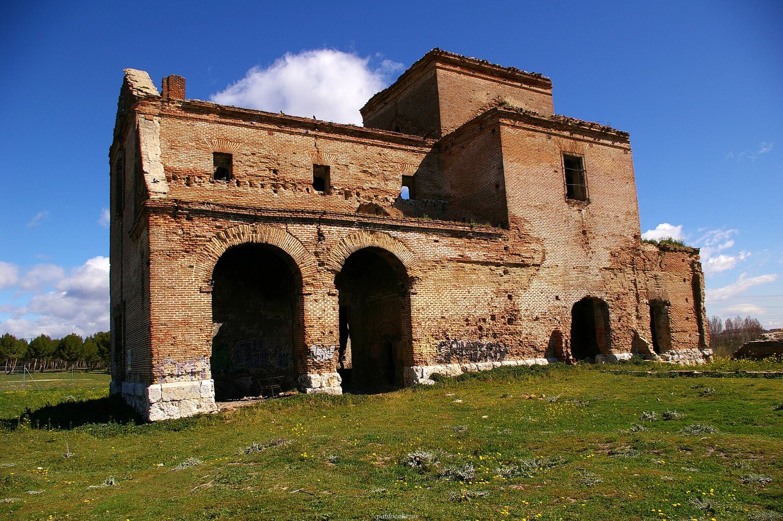 Polvoranca norte con perro