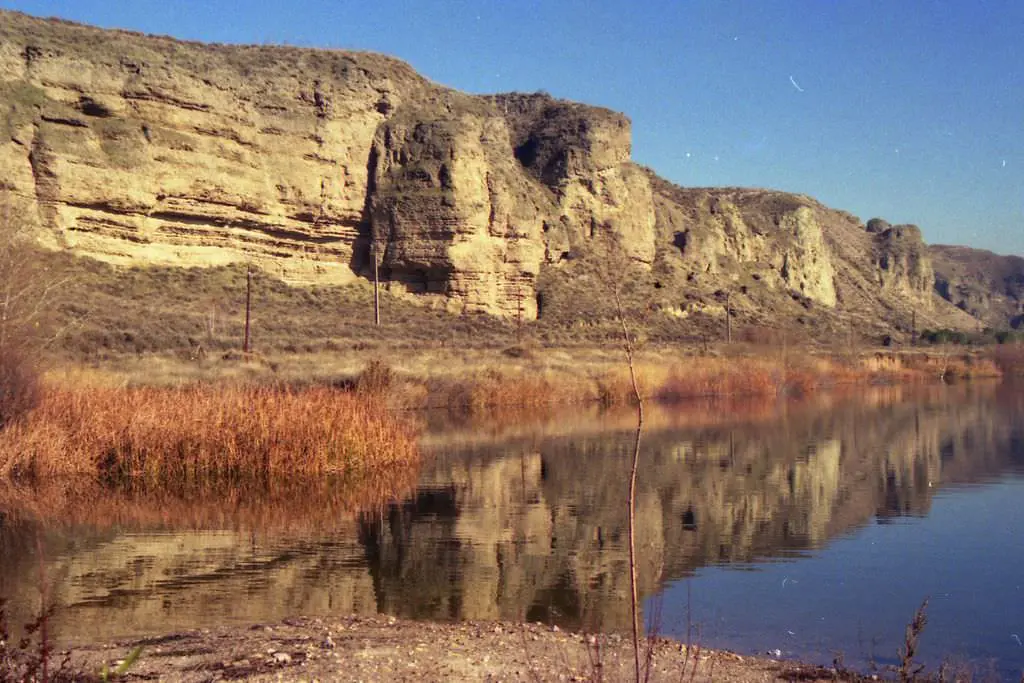 Laguna del Campillo con perro