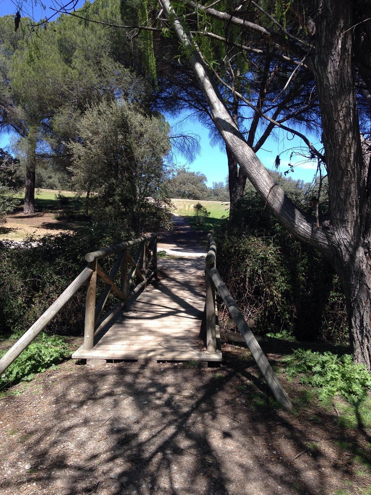 Monte del Pilar Majadahonda con perro