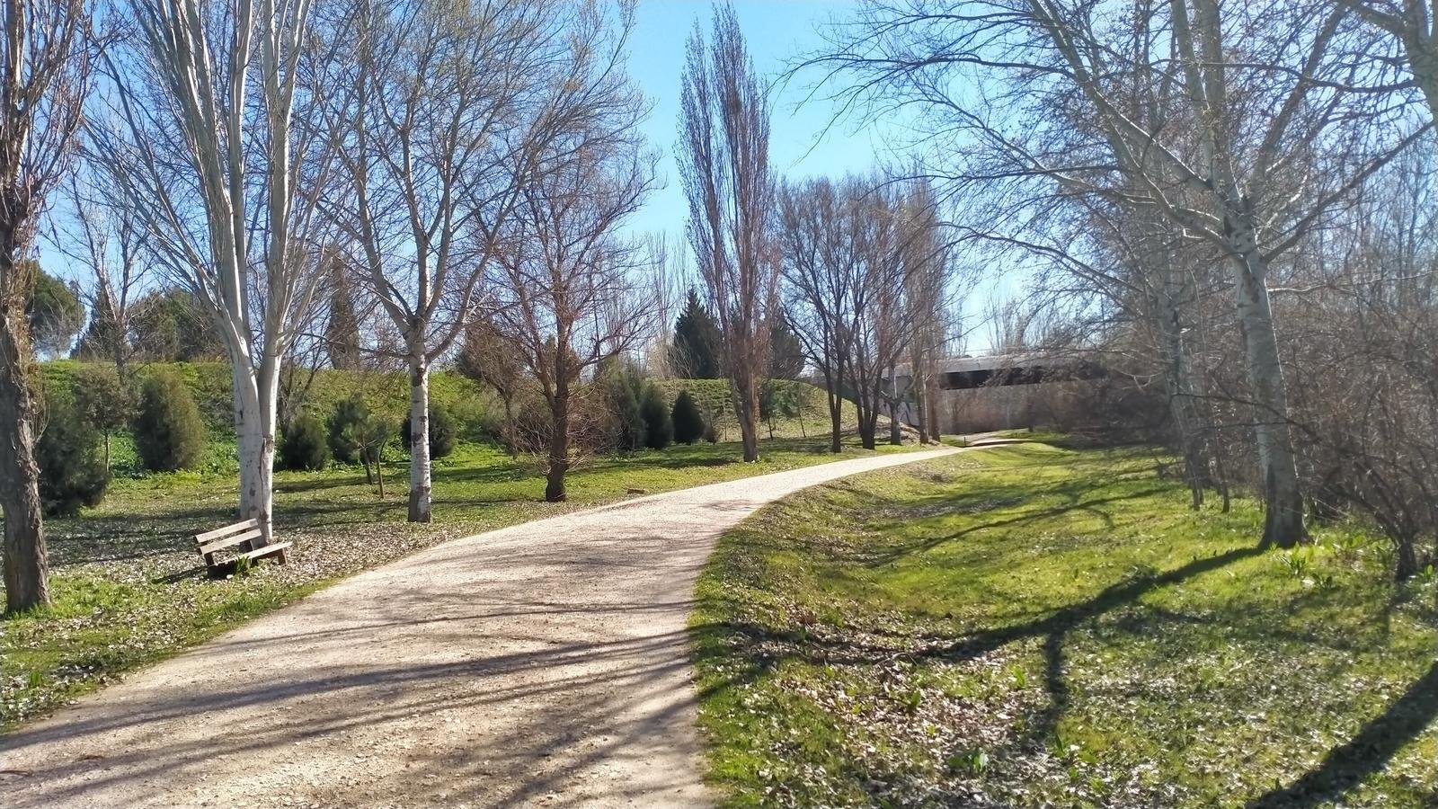 Ruta Verde Fuenlabrada con perro