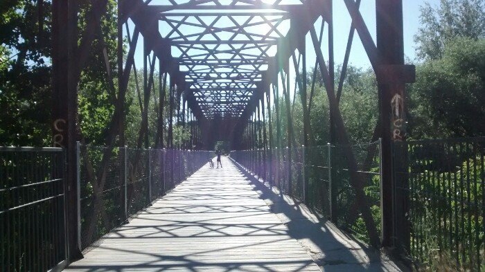 Río Guadarrama Alcorcón con perro