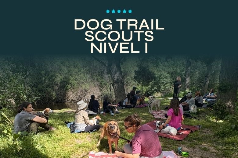 La base de todo. — Dog Trail Scouts