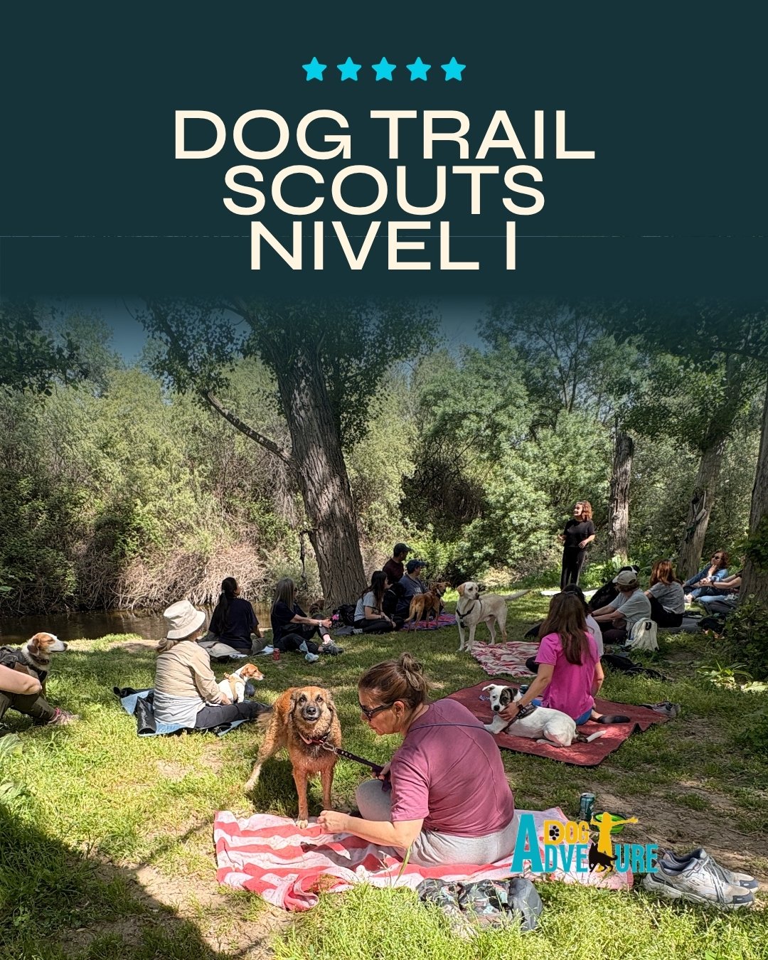 Dog Trail Scouts