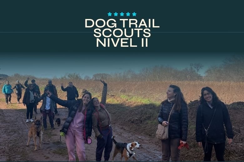 Sierra y entornos exigentes. — Dog Trail Scouts