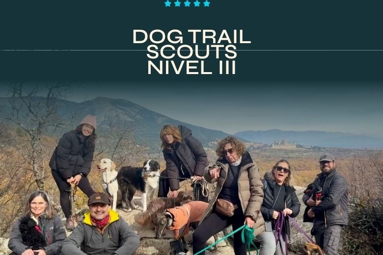 Las rutas más duras. — Dog Trail Scouts